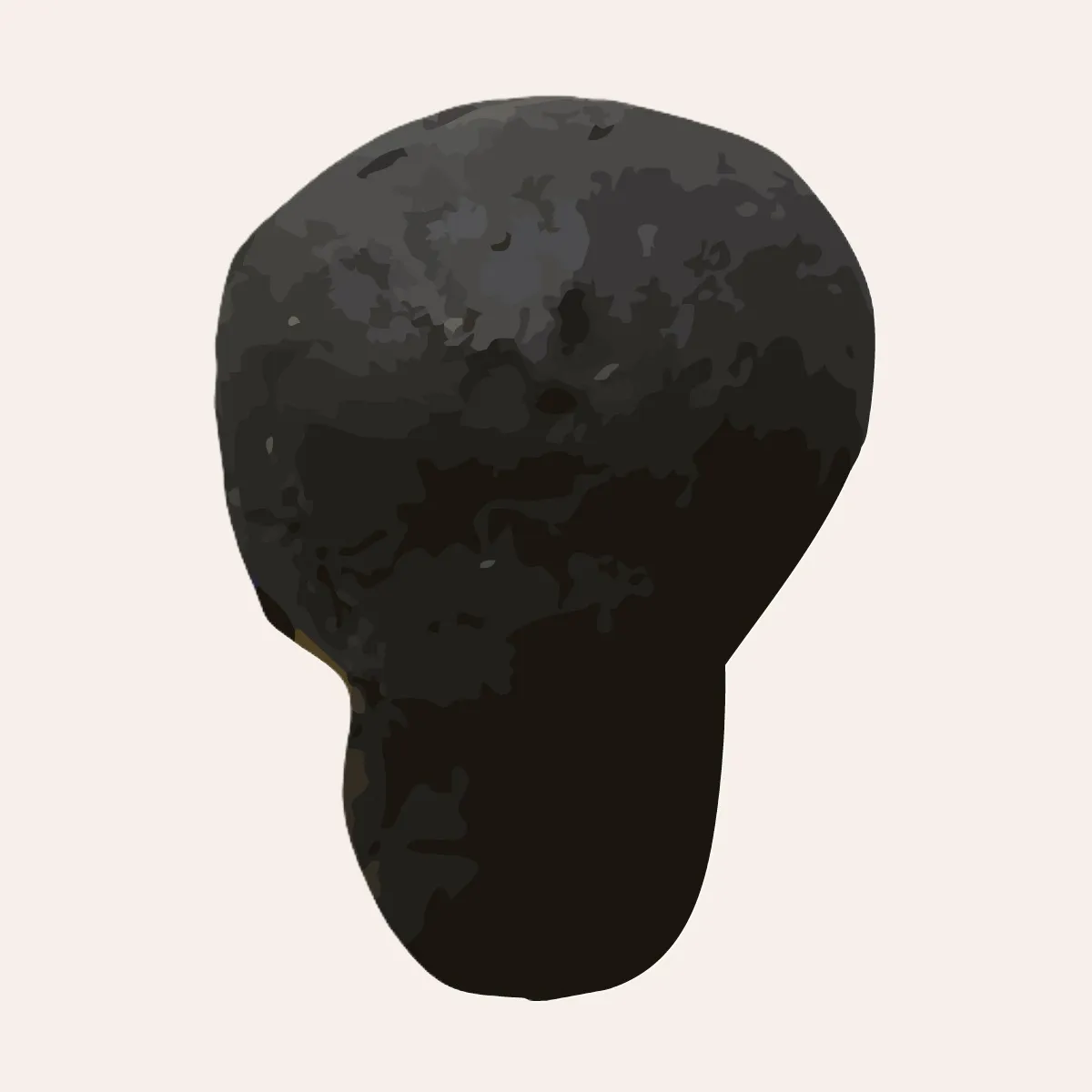 サザぱん きのこぱん ここをクリックで詳細ページへ